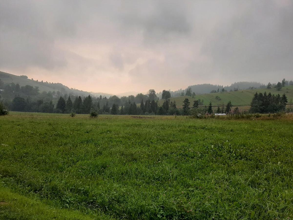 Villa Krzesanica Czarna Gora Bagian luar foto