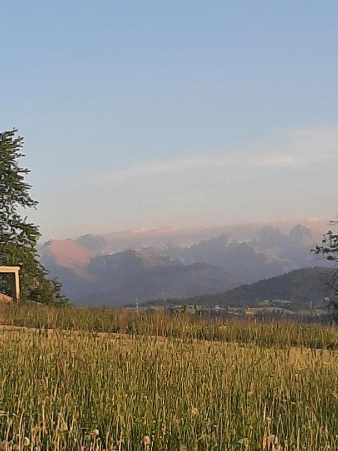 Villa Krzesanica Czarna Gora Bagian luar foto