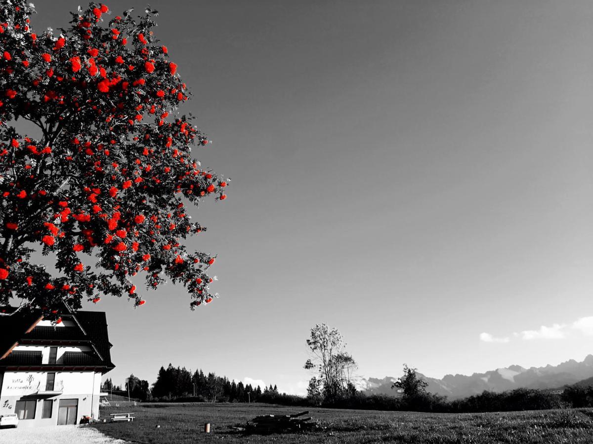 Villa Krzesanica Czarna Gora Bagian luar foto